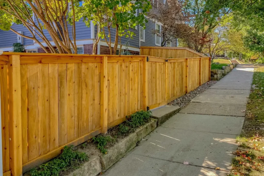 Wooden boundary fencing installed by Friendly Build & Fix along a footpath in a residential area